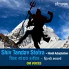 Shiv Tandav Stotra - Hindi Adaptation